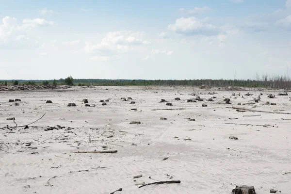 İnsanların sebep olduğu dünyada ormanların yok olması ve çölleşme