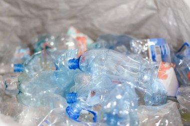Sıralama istasyonunda plastik şişeleri sıraladım.