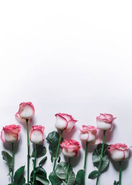 Beyaz arka planda pembe güller açan güzel bir buket çiçek. Üst görünüm