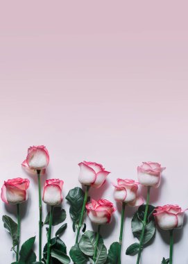 Pembe eğimli arka planda pembe güller açan güzel bir buket. Üst görünüm