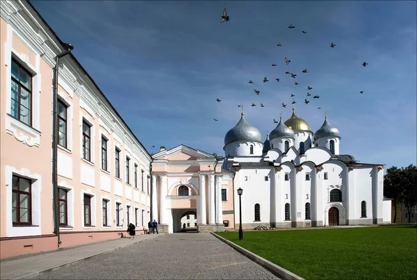 Velikiy Novgorod 'daki Aziz Sophia Katedrali. Rusya, ünlü ortodoks manastırı, kiliseler ve mimari. Güvercinler kubbenin üstünde. Tarihi ortodoks mimarisi