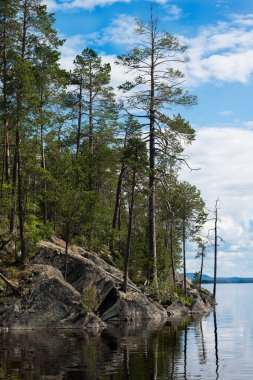 Kuzey Karelya su deposu. Bule gökyüzü ve sudaki ölü orman. 50 yıllık ego rezervuarı oluşturuldu. 
