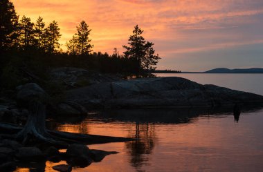 Kuzey gölünde beyaz bir gece. Orman gölü manzaralı gece manzarası. Ormanın üzerinde gün batımını, kökleri ve kökleri sakin sularda olan siluetleri. Kalanı ve balık tutmak için İskandinavya 'yı ziyaret et, Kızıl Ufuk