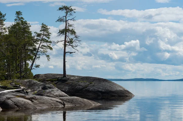 North Karelia Lake Russian Wild Nature Forest Growing Stones Rock — Stock Photo, Image