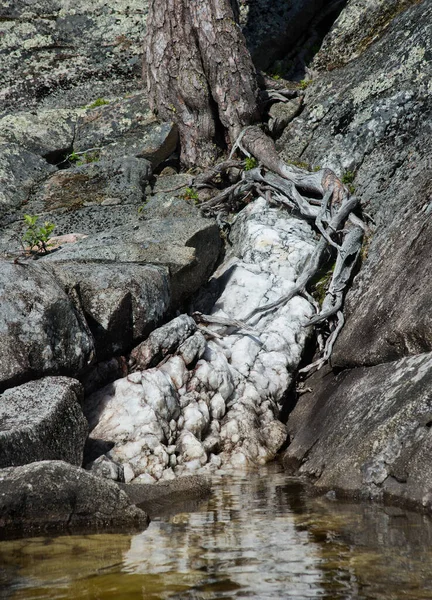 Göl kıyısındaki buzul kayaları ve taşlar. Koyun alnı kaya gibi. Şiddetli Kuzey Karelya doğası. Kuzey Karelya 'da vahşi bir doğa var. Doku ve arkaplan