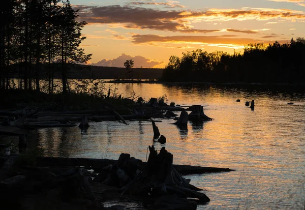 Kuzey gölünde beyaz bir gece. Orman gölü manzaralı gece manzarası. Ormanın üzerinde gün batımını, kökleri ve kökleri sakin sularda olan siluetleri. Dinlenmek ve balık tutmak için İskandinavya 'yı ziyaret edin