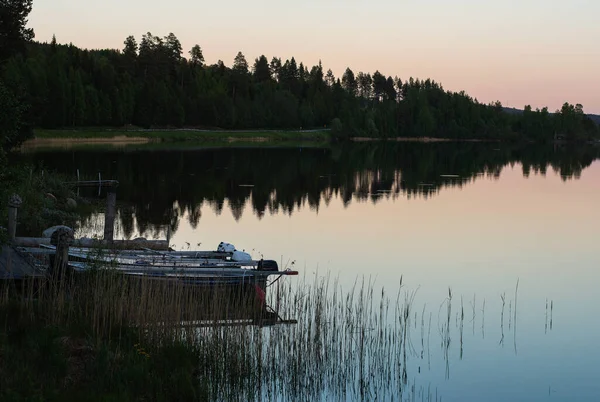 White Night Northern Lake Scenic Night Landscape Forest Lake Picturesque — Stock Photo, Image