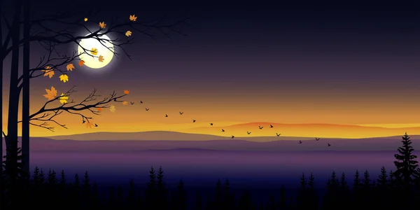 Красивый Горный Пейзаж Силуэтами Туманных Сосен Лесу Восходом Солнца Панорамный — стоковый вектор