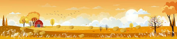 Vector Autumn Panorama Landscape Farm Field Orange Sky Beautiful Sunset — стоковый вектор