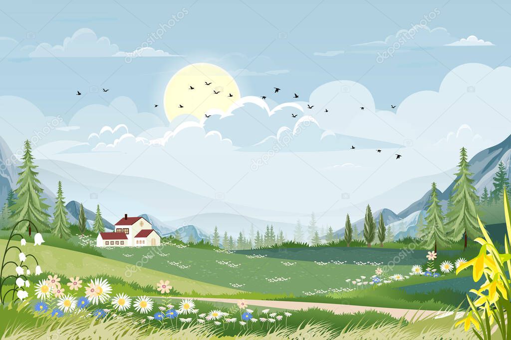 Spring landscape in Sunny day village with meadow on hills with blue sky, Panoramic countryside of green field with farmhouse, mountains and grass flowers,Vector Summer or Spring nature background