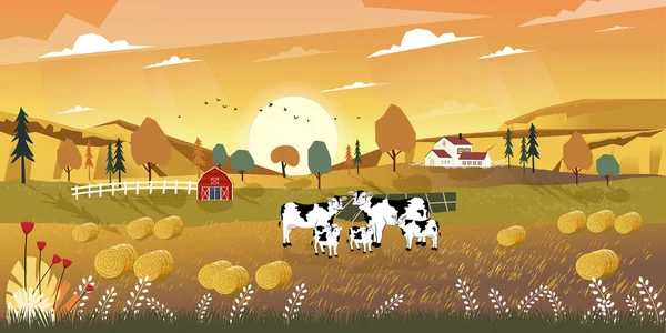 Sonbaharın ortasındaki karikatür manzarası, tarım evi, ahşap ahır, kırsal kesimdeki inek ve saman balyaları, sonbahar mevsiminde tarım arazilerinin turuncu yapraklı panorama manzarası ile hasat edilmiş tarlalarda gündoğumu manzarası..