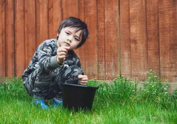 Хлопчик Тримає Дикі Квіти Саду Хлопчик Сидить Траві Граючи Квіткою — стокове фото