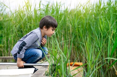 Yazın çocuk portresi havuzda ağ ile yaratık avlıyor, çocuk kâşifi ve kırsal alanda vahşi doğa hakkında bilgi topluyor, çocuklar için yaz kampı aktiviteleri düzenliyor.