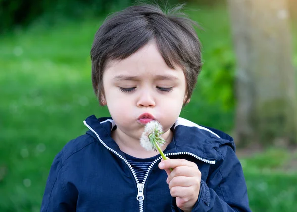 Portrét Roztomilé Kid Foukání Pampeliška Rozmazaným Gree Přírodní Pozadí Aktivní — Stock fotografie