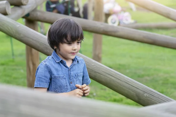 나무로 공원에 아이는 공원에서 활동을 즐기고 아이는 놀이터에서 있습니다 — 스톡 사진