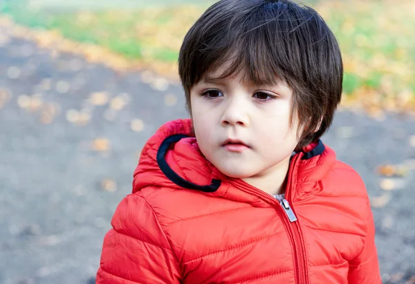 키드가 귀여운 소년의 아이는 호기심많은 얼굴로 키드는 주말에 공원에서 — 스톡 사진