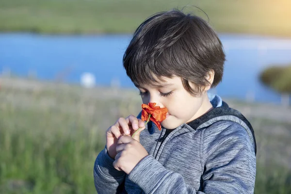 Retrato Adorável Menino Cheirando Flor Cândido Tiro Criança Cheirar Aprendizagem — Fotografia de Stock