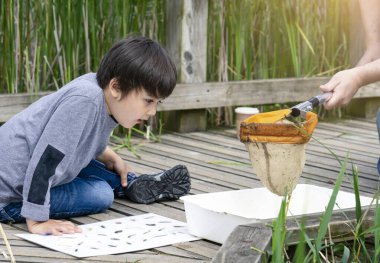 Kid looking at pond wildlife in white tray, Parent and son catching creatures in pond in summer time, Child explorer and learning about wild nature in countryside, Summer camp outdoors activity  clipart