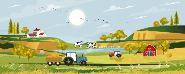 Kırsal kesimde hasat edilmiş tarlalar, traktör, ahşap ahır, inekler ve saman balyaları olan gündoğumu manzaralı bahar manzarası, güneşli yaz günlerinde Panorama tarım arazileri manzarası