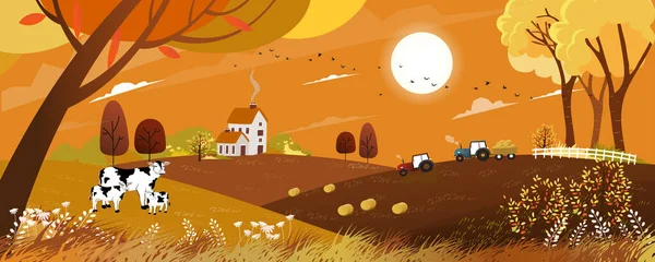 Vector Paisaje Otoñal Con Vista Amanecer Campo Cosecha Con Tractor — Vector de stock