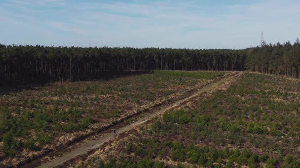 Imagens Drones Uma Pessoa Bicicleta Montanha Longo Uma Trilha Rural — Vídeo de Stock