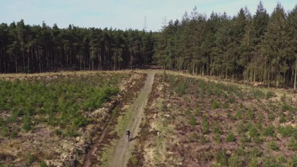 Imagens Drones Uma Pessoa Bicicleta Montanha Longo Uma Trilha Rural — Vídeo de Stock