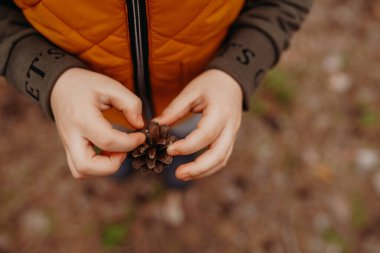 Ormanda elinde kozalakla bir çocuk.