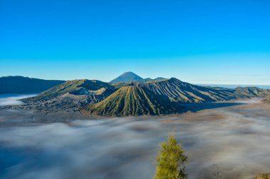 Bromo Dağı, Endonezya 'nın başkenti Doğu Java' da güneşli bir sabahta çekilen bir fotoğrafta yer alan aktif bir volkandır.