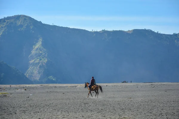 Cavalo Transporte Para Locomover Área Mount Bromo Bromo Indonésia Agosto — Fotografia de Stock