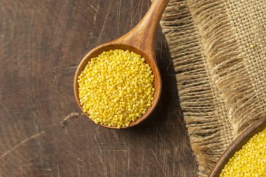 Bir sürü besleyici darı