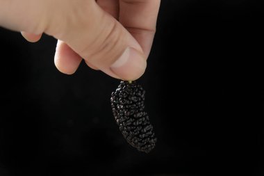 Bir sürü lezzetli ve besleyici dut.