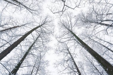 Westlake Kar Günü, Hangzhou