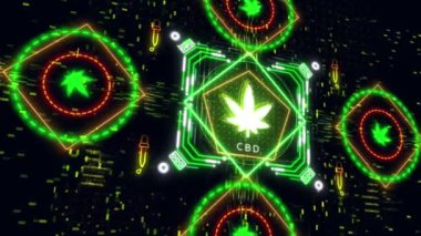Neon kenevir yaprağı işareti. Kenevir bitkisinin gelecekteki animasyonu. cbd yağı