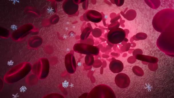 Damarlarında kan hücreleri akıyor. İnsan kırmızı kan hücresi. Tıp ve Bilim — Stok video