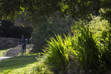 Parkta güneşli bir gün. Yeşil çimenler, güzel şehir manzarası. Bulutlu mavi gökyüzü. Yaz eğlencesi.