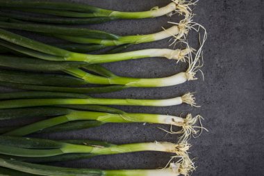 Koyu gri arka planda yeşil soğan. Taze bitkiler, fotoğrafı kapatın.. 