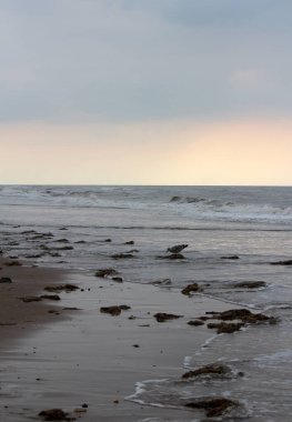 Hollanda 'da yaz mevsimi. Bulutlu güzel bir gökyüzü. Deniz manzarası. Güneşli bir gün fotoğrafı. 