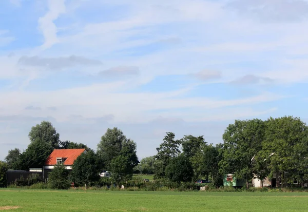 緑のフィールドと美しい空と国の風景 晴れた日の写真 古典的なオランダの田園風景 オランダの夏 — ストック写真