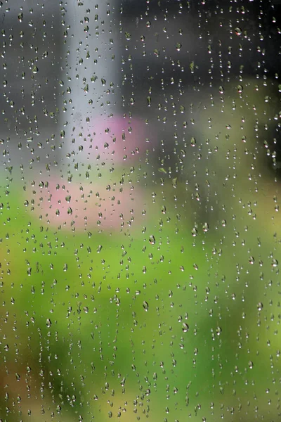 Dia Chuvoso Jardim Água Cai Uma Superfície Fundo Verde Abstrato — Fotografia de Stock