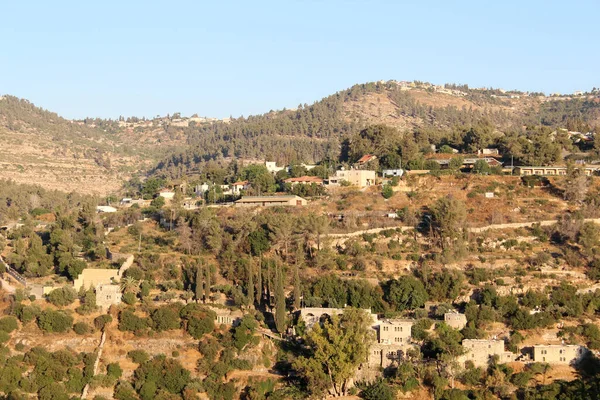 Yaz manzarası. İsrail 'in Doğası. 