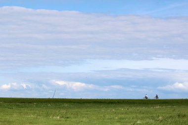 Güzel yaz manzarası. Bulutlu suluboya mavi gökyüzü, yeşil çimen tarlası. Idyllic manzara. 