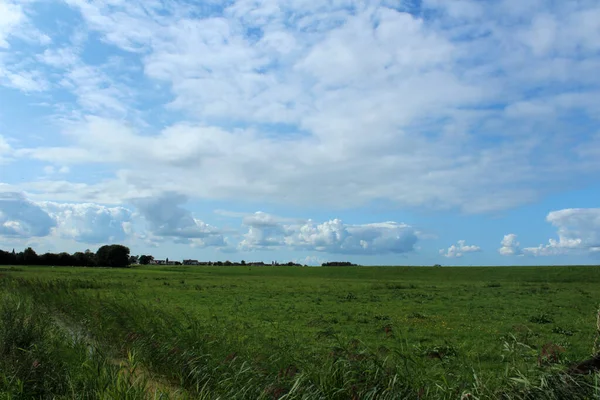 Linda Paisagem Verão Aquarela Céu Azul Com Nuvens Campo Grama — Fotografia de Stock