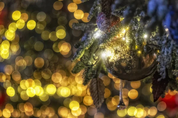 Karla kaplı ladin dalı ve Noel altın topuyla süslenmiş. Arka planda bir sürü bulanık sarı spot ışığı var..