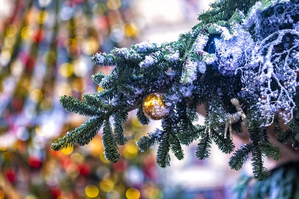 Karla kaplı ladin dalı ve Noel altın toplarıyla süslenmiş. Arka planda parlak şenlik çelenkleriyle süslenmiş bulanık ladin ağacı var..