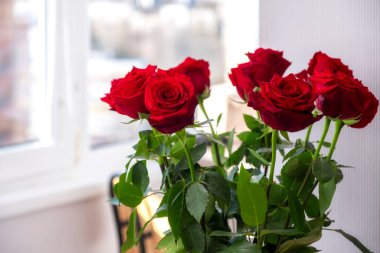 Muhteşem bir buket gül. Parlak kırmızı tomurcuklar ve yemyeşil yapraklar. Dairesinde çiçekler var, iç mekan olarak. Doğal gün ışığı. Arkaplanda beyaz çerçeveler olan pencere. 