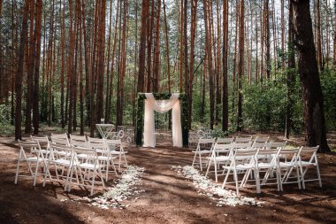 Ormanda bir açık hava töreni için dekorasyon. Açık havada yapılan bir düğün için şık bir dekorasyon. Birçok beyaz ahşap sandalye bir sırada duruyor. Açık havada lüks bir düğün töreni..