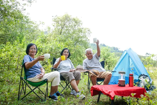 The elderly group camping in the forest, happy to relax in retirement. Senior community concepts