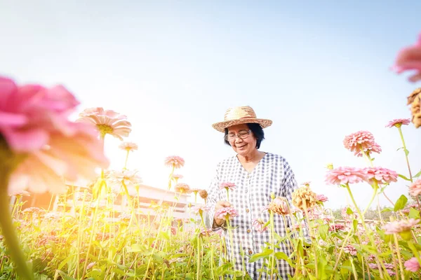 Una Anciana Asiática Encuentra Jardín Flores Disfrutando Vida Después Jubilación —  Fotos de Stock