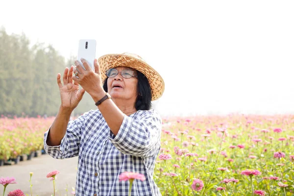 Uma Mulher Idosa Com Telefone Para Tirar Fotos Campo Flores — Fotografia de Stock