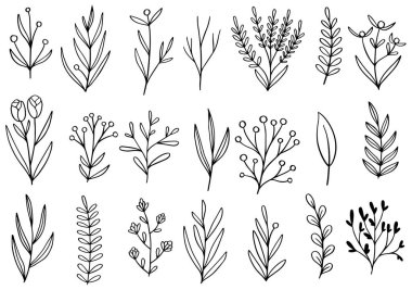 El çizimi karalama çiçekleri.